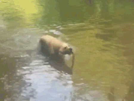 tumblr_nxjak2CAmq1s02vreo1_500.gif