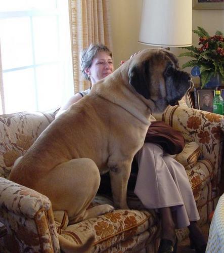 kirstenwithdog.jpg