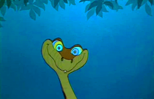 tumblr_mbvrtsE4251rtjl46o1_500.gif