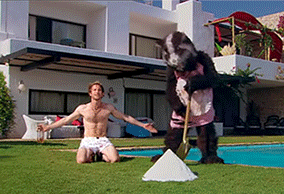 giphy.gif