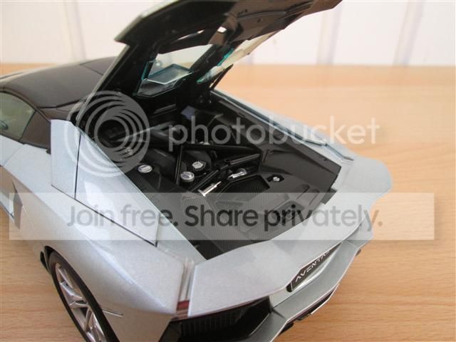IMG_0592_zps1fbf9d5c.jpg