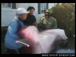 giphy.gif