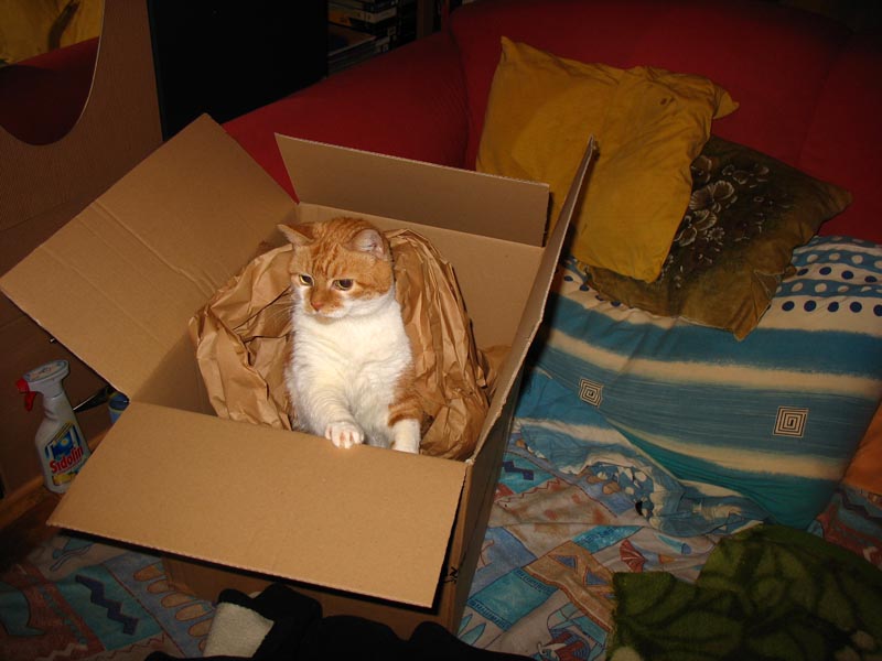 lissy2.jpg