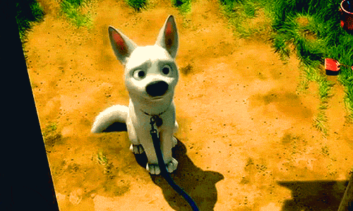 tumblr_lsv817N9d51qec4tfo1_r1_500.gif