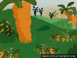 giphy.gif