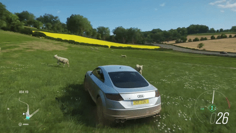 giphy.gif