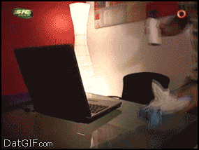 1US7vzk.gif
