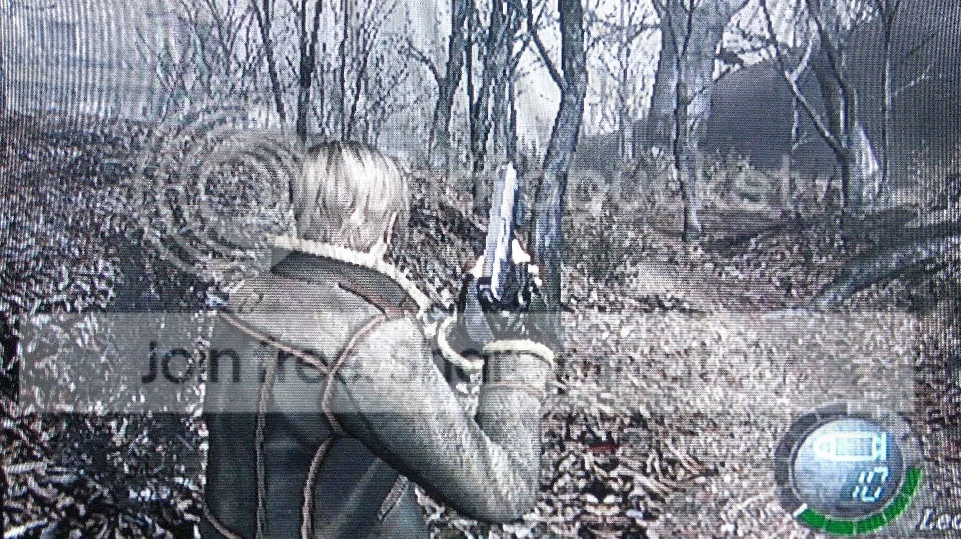 RE4-GC.jpg