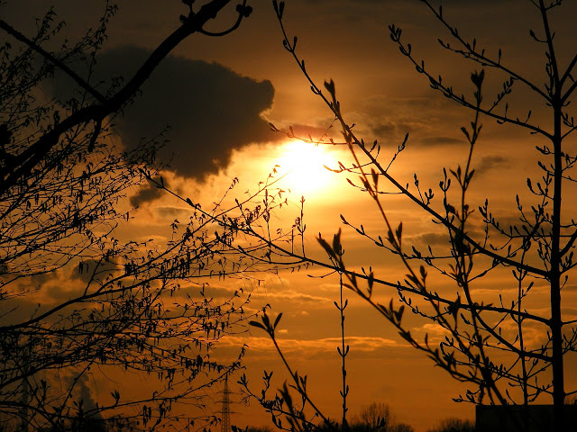 2008_0331foto0035.JPG