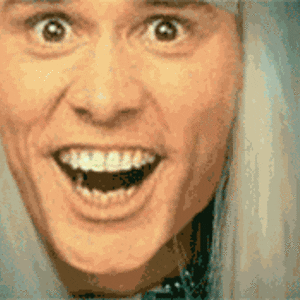 giphy.gif