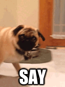 tumblr_meolgwp5sS1rs1nmvo1_250.gif
