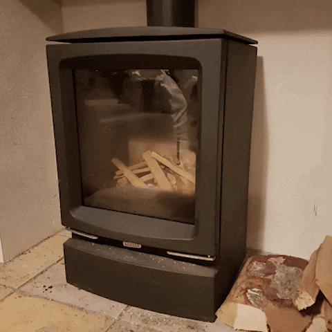 giphy.gif
