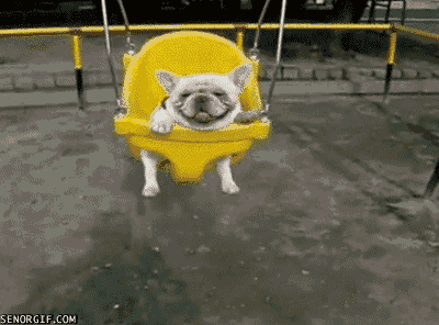 2aAlg.gif