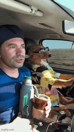 daily_gifdump_4843_42.gif