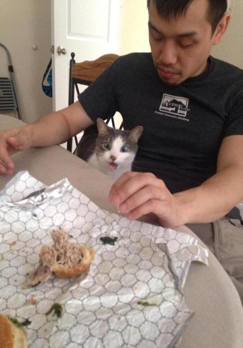 tumblr_norf0b89kP1qh66wqo1_500.jpg