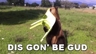 6crkde1.gif