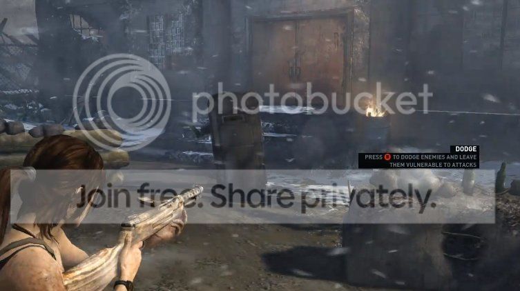 shield.jpg