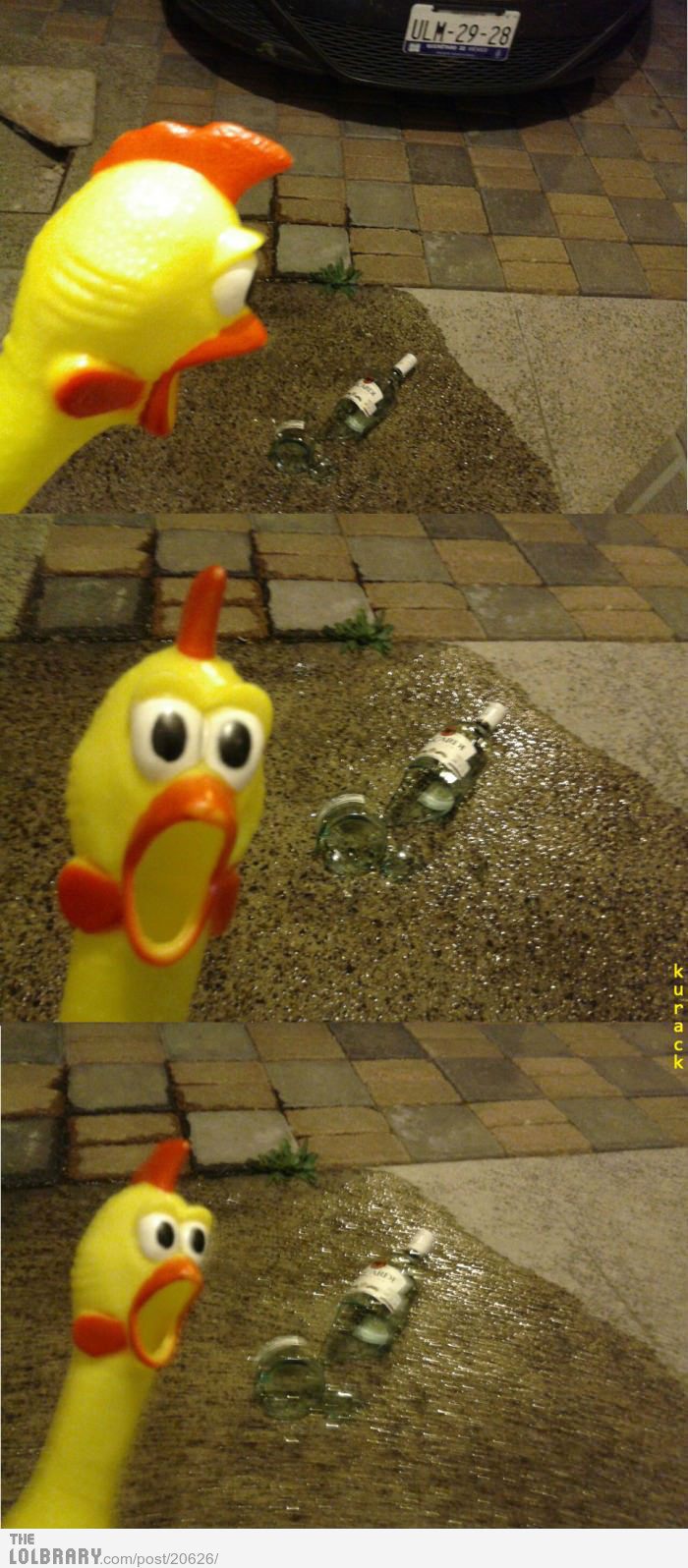 tumblr_m52zjfkDUD1qg4kkko1_1280.jpg