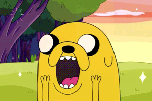 giphy.gif