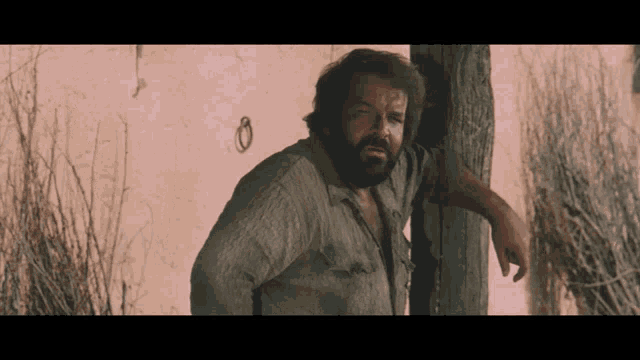 40051347vb.gif