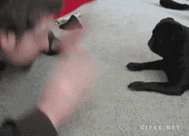 dteEZGR.gif