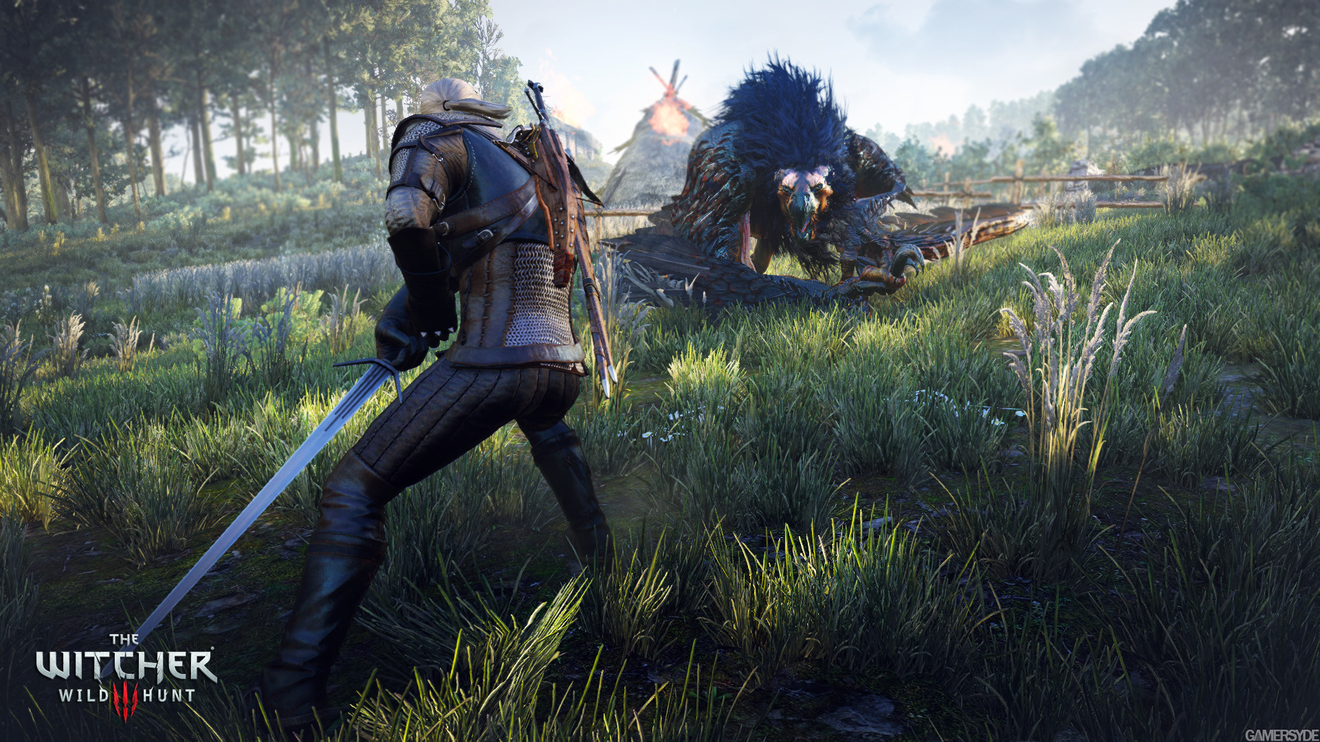image_the_witcher_3_wild_hunt-25398-2651_0014.jpg