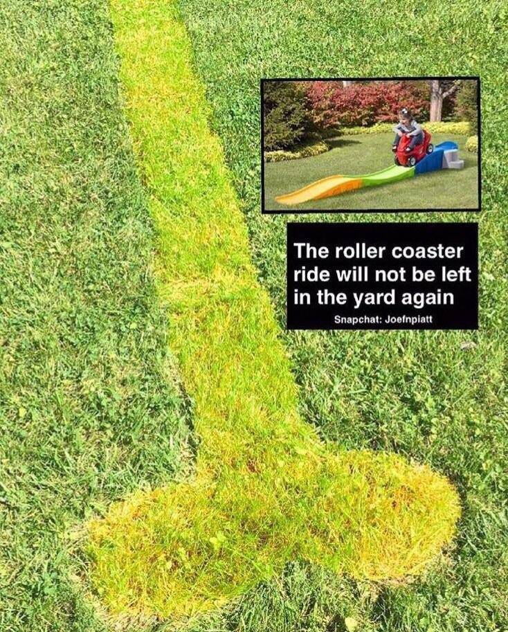 picdump550_133.jpg