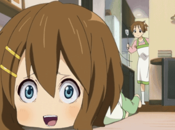 13495_original.gif