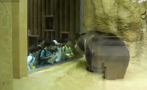 tumblr_mgybd1JtUg1rd0rbzo1_500.gif