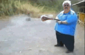 giphy.gif