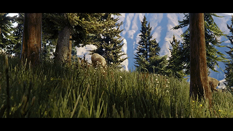 d9VU5OP.gif