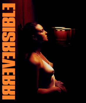 20031028_irreversible.jpg
