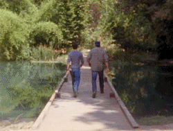 tumblr_mh0hb8P14T1rlfj4yo1_250.gif