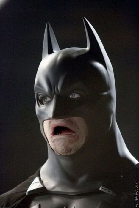 amazing-batmans-funny-photos-15.jpg