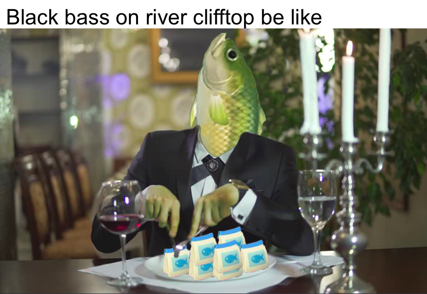 j1rn41oa3xp41.png