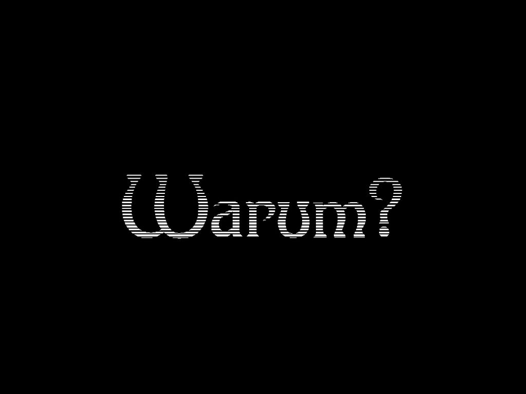 warum1.jpg