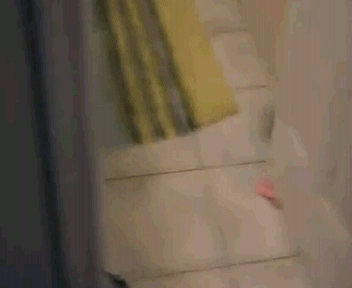 hornoxe.com_gifdump41_35.gif