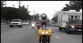 hcsqu3yu.gif