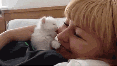 tumblr_nehgorMAny1sn75h6o1_400.gif