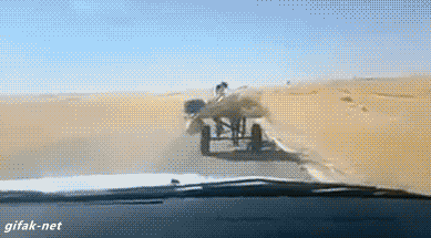 tumblr_nr4349mQVT1s2yegdo1_400.gif