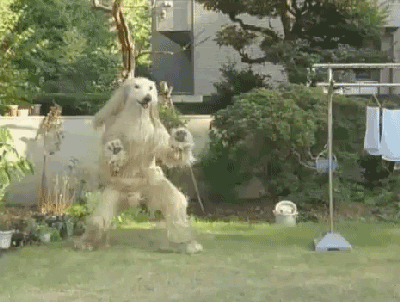 tumblr_inline_nlzzsos4m71sqpuqh.gif