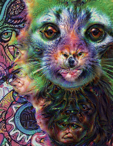 giphy.gif
