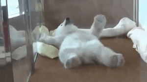 tumblr_ohd2suxavT1rxp34uo1_400.gif