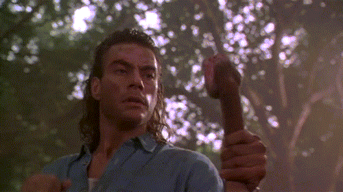 tumblr_mjgs5ngwyL1s56t6so1_500.gif