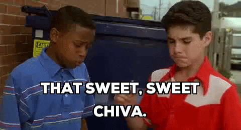 giphy.gif