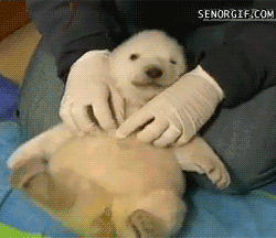 tumblr_mmxw4e0ZwF1r4oye7o1_250.gif