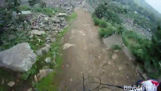 giphy.gif