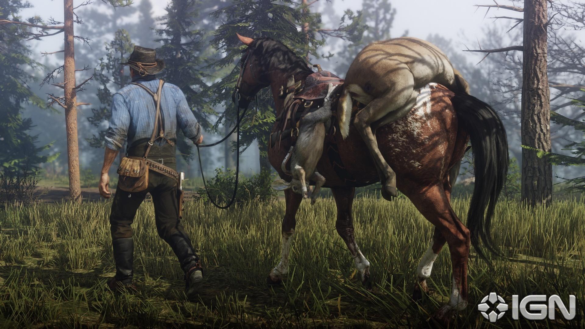 rdr2-screenshot-047-1525356017446.jpg