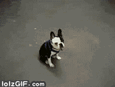 comment_MEp34XEH65bGhxacq35BIsyzip6sx47x.gif
