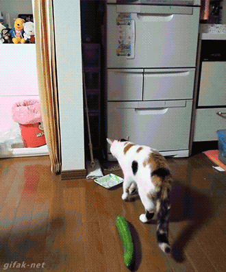 tumblr_nr6goaKEtl1s2yegdo1_400.gif